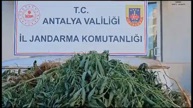 Uyuşturucu tacirlerine 'Narkoçelik-24' operasyonlarında, 28 tutuklama 