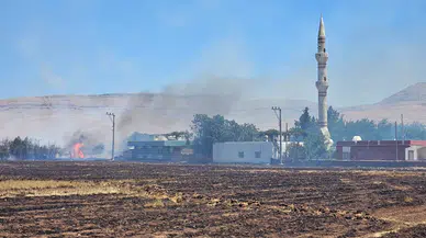 Mardin’in 5 ilçesinde anız ve örtü yangınları
