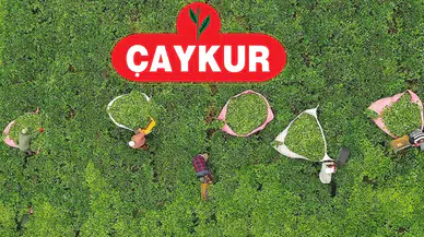 Yaş Çay Budama Paraları Hesaplara Aktarıldı