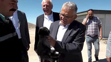 Kayseri'de 5 yılda 7 bin 626 sokak hayvanı sahiplendirildi