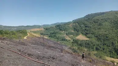 GÜNCELLEME - Kastamonu'da ormanlık alanda çıkan yangın söndürüldü 