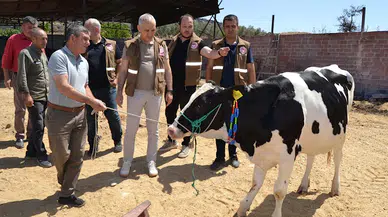 Salihli'de yangın bölgesindeki üreticiye yem ve büyükbaş desteği