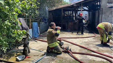 Düzce'de alevlerin arasından kurtarılan büyükbaş hayvanları suyla serinlettiler