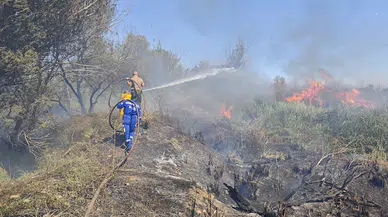 Osmaniye’deki Kastabala Kuş Cenneti havzasında yangın
