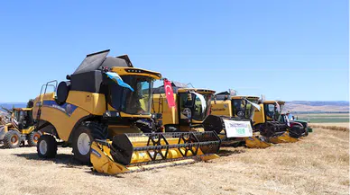 Amasya'da hububat hasadına başlandı