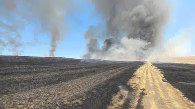 Diyarbakır’da anız yangınında 500 dönüm alan zarar gördü