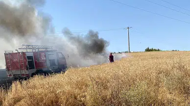Edirne’de 20 dönüm buğday ekili alan yandı 