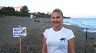 Mersin sahillerinde yumurtlama mesaisi 