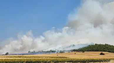 Balıkesir'de orman yangını