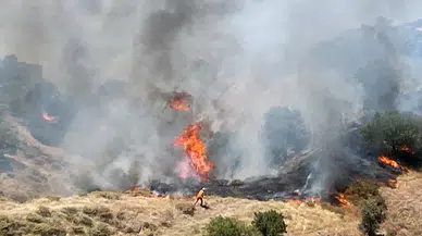 Bingöl’de iki ilçede orman yangını