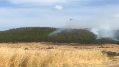 Edirne Keşan'da orman yangını (2)