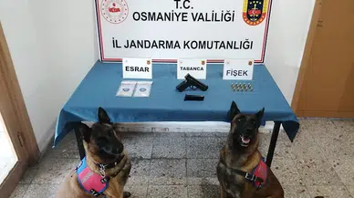 Jandarmadan uyuşturucu ve kaçakçılık operasyonları: 8 gözaltı