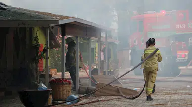 Selçuk'ta çıkan orman yangını Kuşadası'na da sıçradı (2)