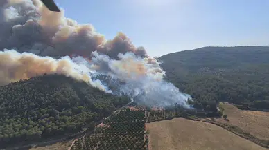 Selçuk'ta çıkan orman yangını Kuşadası'na da sıçradı