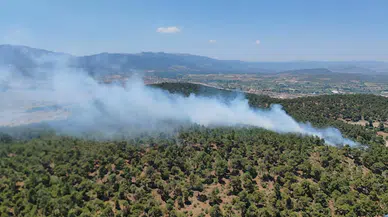 Balıkesir’de orman yangını