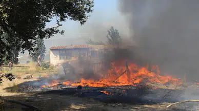Ayvalık'ta çöplükte çıkıp otluk ve zeytinliğe sıçrayan yangın, 4 saatte söndürüldü