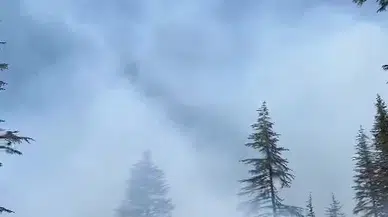 Karaman Ermenek'te orman yangını 