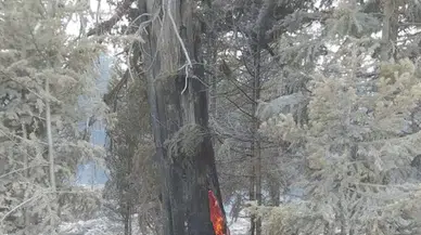 Karaman Ermenek'te orman yangını (2)