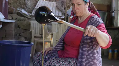 Coğrafi işaretli 'Karnavas dut pekmezi' doğal olarak üretiliyor