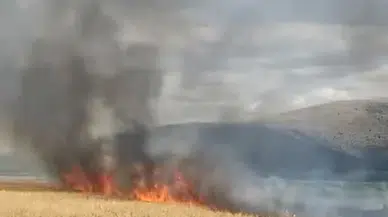 Tokat'ta ekili 10 dönüm buğday yandı