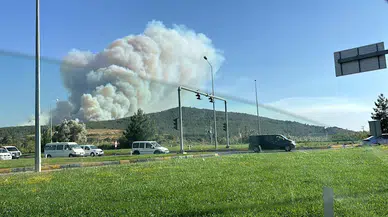 Selçuk'ta çıkan orman yangını Kuşadası'na da sıçradı/ Ek fotoğraflar