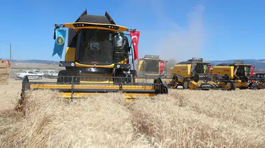 Amasya’da yılın ilk buğday hasadını Vali Doruk yaptı