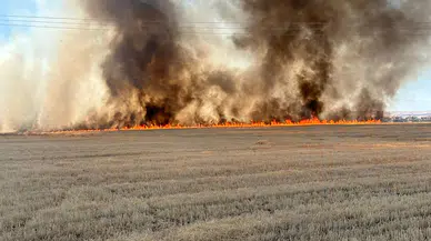 Batman'da 20 dönümlük alandaki anız yangını söndürüldü