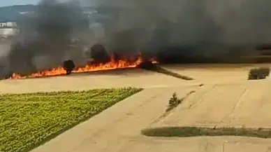 Akıma kapılan kuşlardan kaynaklandığı değerlendirilen yangında ekili 80 dönüm buğday yandı