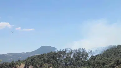 Balıkesir'de orman yangını (2)