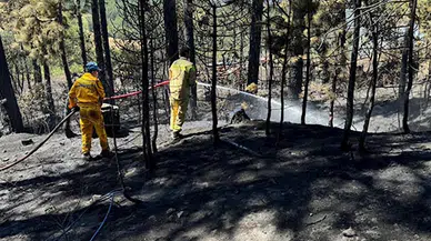 Bursa'da çıkan orman yangını 1 saatte söndürüldü