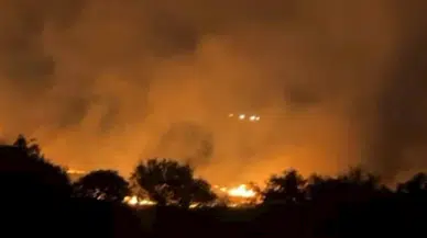 Seferihisar'da çıkan orman yangını 3 saatte söndürüldü