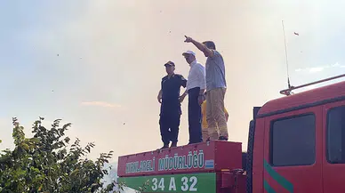 Edirne'de buğday tarlasında çıkan yangın, ağaçlara sıçradı (2)