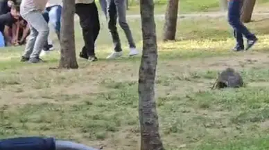 İstanbul- Sultangazi'de parkta ailesinin yanında önce darbedildi, sonra silahla vuruldu