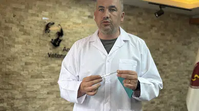 Kimliklendirilen köpek sayısı 934 bin 799'a ulaştı 