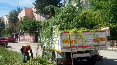 Aziziye Belediyesi, Şehir Estetiğini Yeniden Şekillendiriyor: Güzellik ve Çevre Bilinciyle Hizmette!