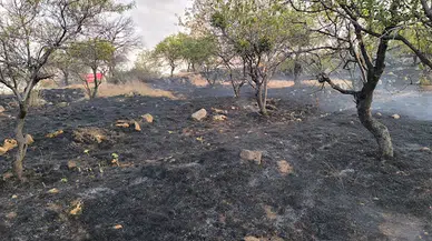 Hıdırlık mesire alanında yangın