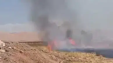 Suriye sınırında anız yangını