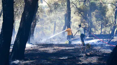 Balıkesir’deki orman yangını, 13 saatte kontrol altına alındı