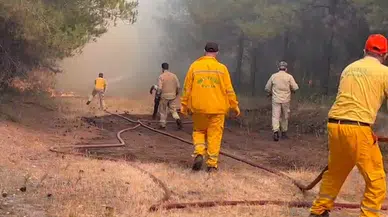 Bursa'da anız yangını, BUÜ kampüsünün de içinde olduğu ormana sıçradı/ Ek fotoğraflar