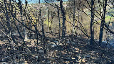 İzmir'deki yangında yanan alanlar, havadan görüntülendi