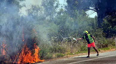 Selçuk'ta yeni yangın; alevler büyümeden söndürüldü