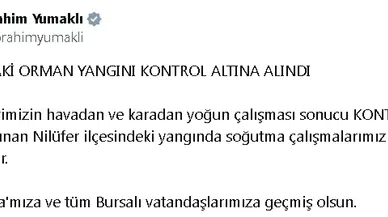 Bursa'da anız yangını, BUÜ kampüsünün de içinde olduğu ormana sıçradı (8)