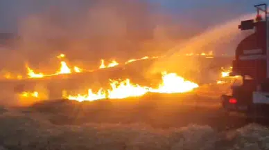 Batman'da anız yangını 1500 dönümlük alana zarar verdi