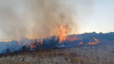 Gaziantep’te meşelik yangını
