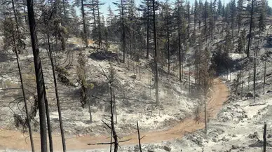 Karaman'daki orman yangını kontrol altına alındı