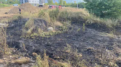 Düzce'de çalılık alanda çıkan yangın söndürüldü