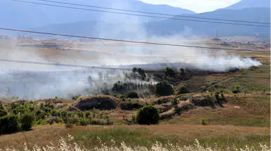 Karabük'te otluk ve ağaçlık alanda çıkan yangın söndürüldü