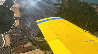 Muğla'da orman yangını (2)