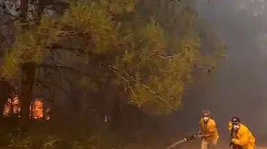 Bursa'da anız yangını, BUÜ kampüsünün de içinde olduğu ormana sıçradı (4)