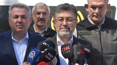 İzmir'deki yangında yanan alanlar, havadan görüntülendi (2)